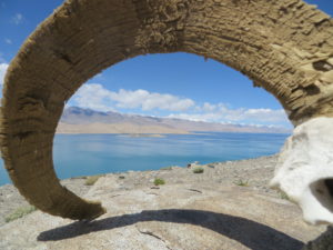 Tadschikistan Karakul See mit einem Horn eines Marco-Polo-Schafes